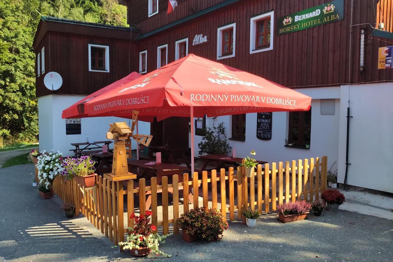 Hotel Alba Destne v Orlickych horach Eksteriør bilde