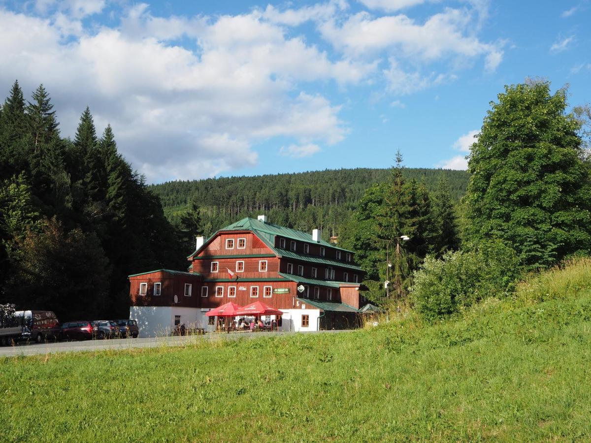 Hotel Alba Destne v Orlickych horach Eksteriør bilde