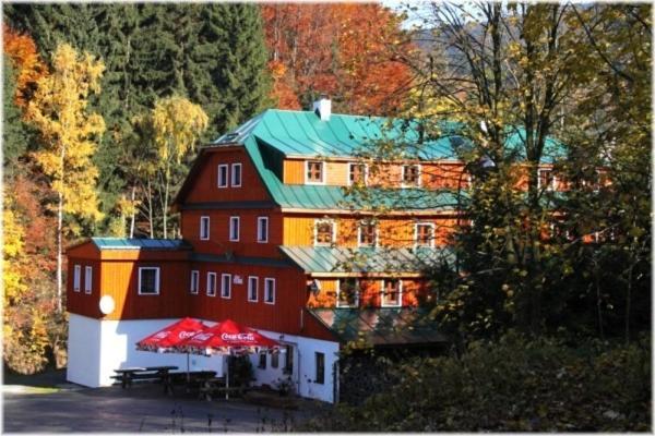 Hotel Alba Destne v Orlickych horach Eksteriør bilde